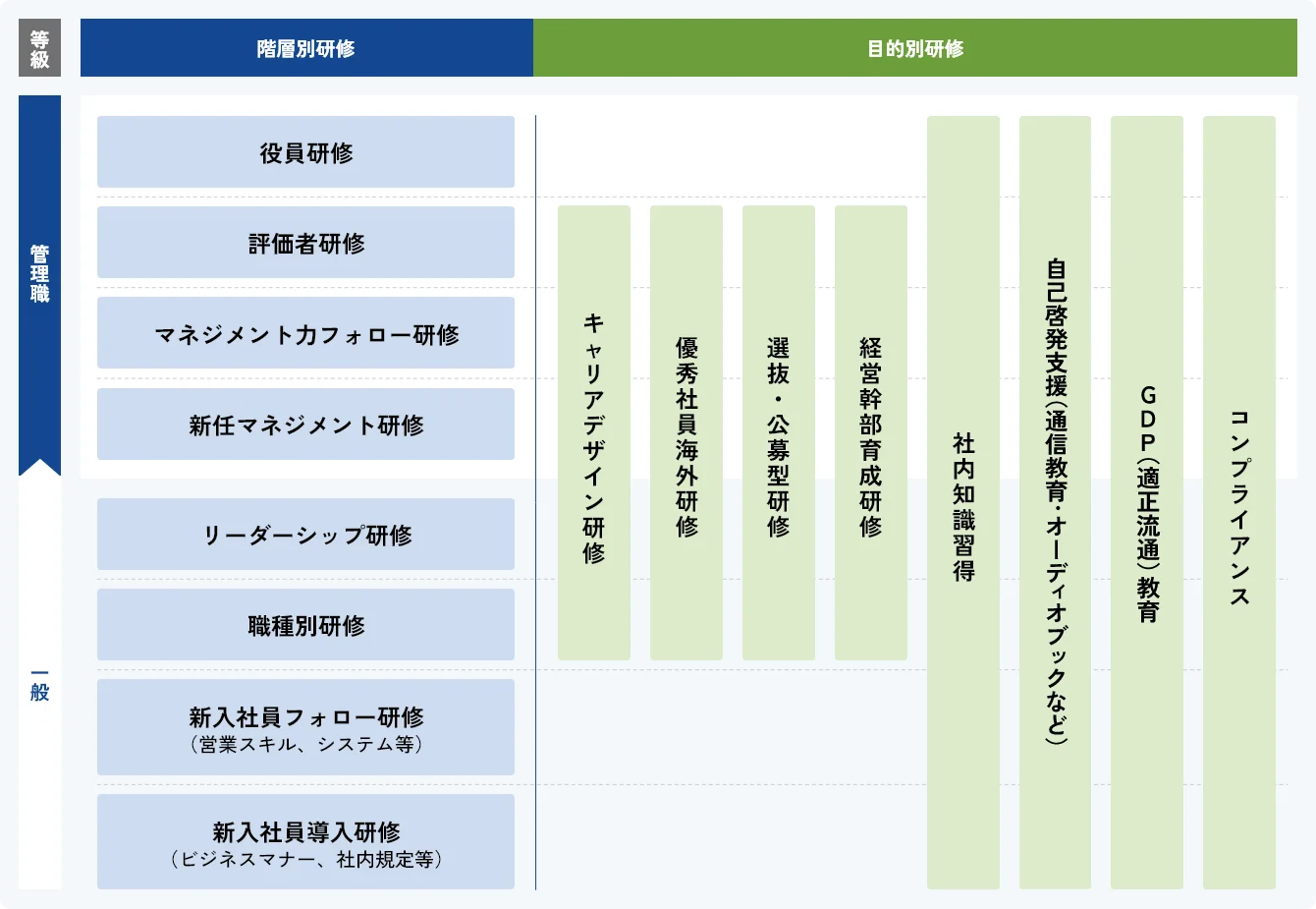 イラスト：研修体制図を示しています 内容はこのあとの本文で説明しています