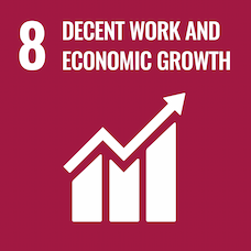 8. Decent Work and Economic Growth